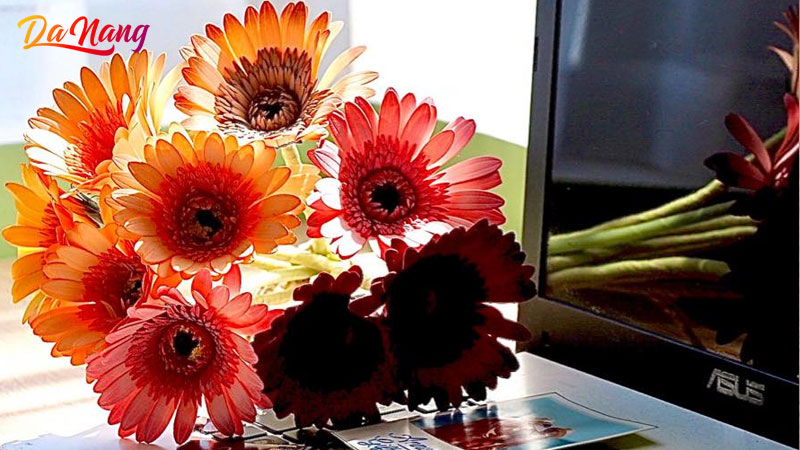 Top-8-cua-hang-hoa-gia-da-nang-dep-nhieu-mau-ma-nhat-thanhphodanang