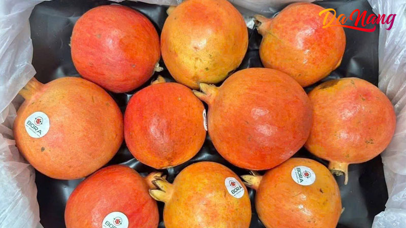 Thuc-pham-sach-greentech-1-thanhphodanang