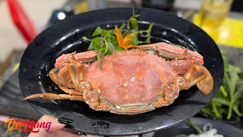 Hai-san-ong-minh-1-thanhphodanang