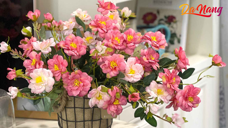 Lava-flower-1-thanhphodanang