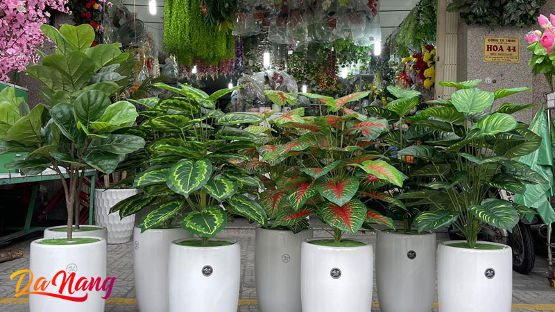 Shop-hoa-44-1-thanhphodanang