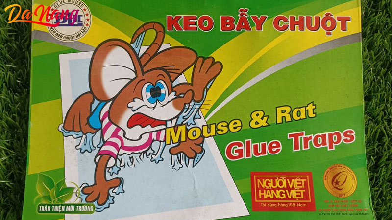 Trung-da-thanh-vn-1-thanhphodanang