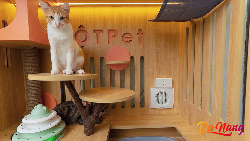 Bot-pet-thanhphodanang