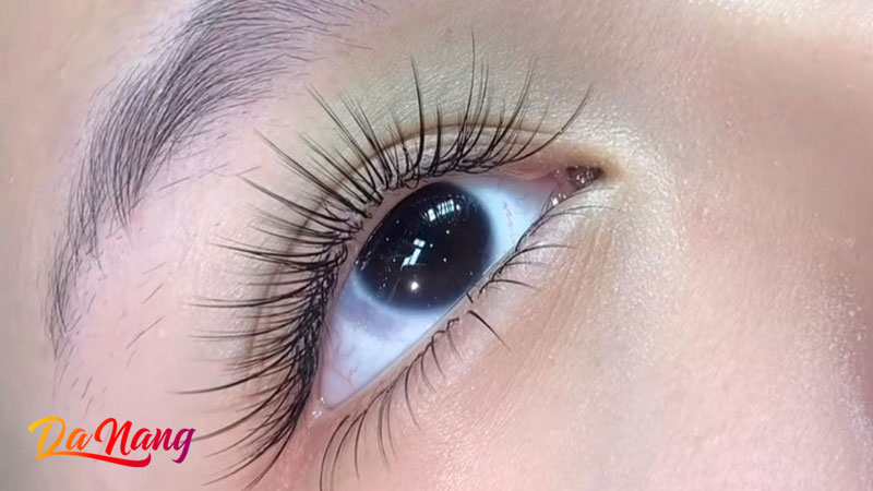 Ly-phan-beauty-academy-1-thanhphodanang