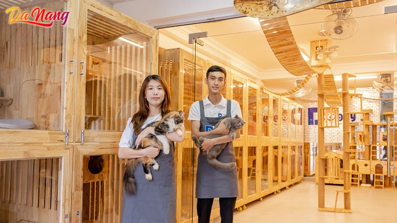 Top-7-khach-san-thu-cung-da-nang-chat-luong-tot-nhat