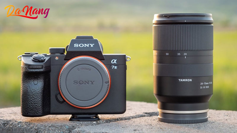 Zusuke-1-thanhphodanang