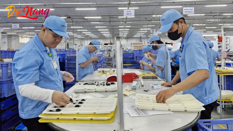 Cong-ty-tnhh-daiwa-1-thanhphodanang