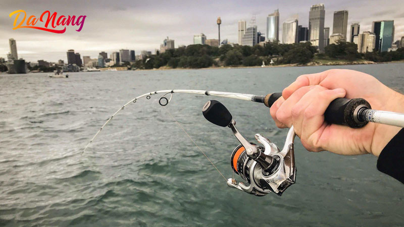 Top-5-cong-ty-can-cau-o-da-nang-chat-luong-tot-1-thanhphodanang