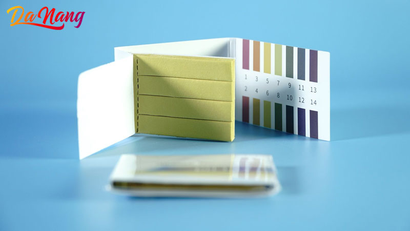 Vmc-group-1-thanhphodanang