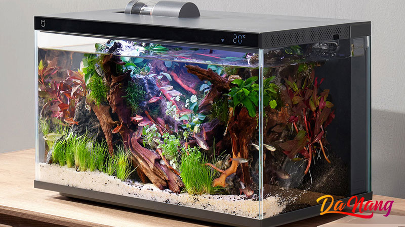 Aqua-da-nang-1-thanhphodanang