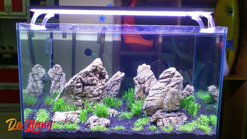 Cua-hang-hoa-binh-1-thanhphodanang