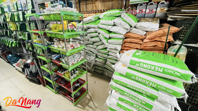 Hat-giong-xanh-thanhphodanang