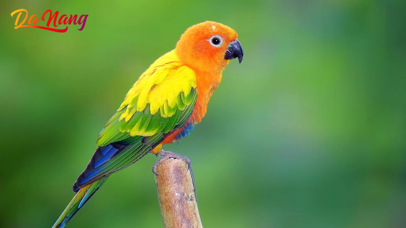 Moon-shop-thanhphodanang