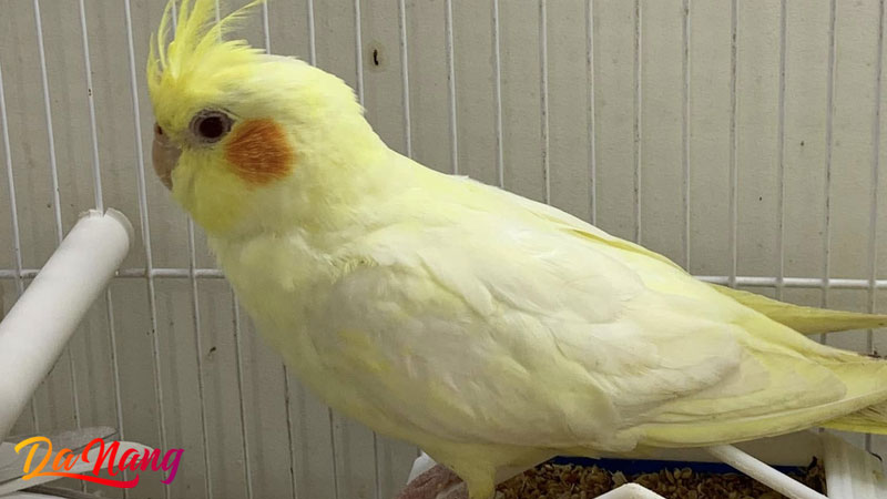 Paulnam-shop-thanhphodanang