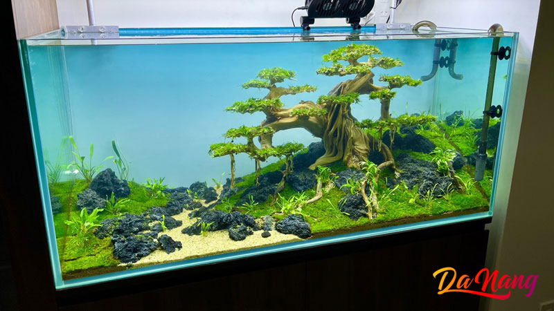 Shop-thuy-sinh-da-nang-1-thanhphodanang