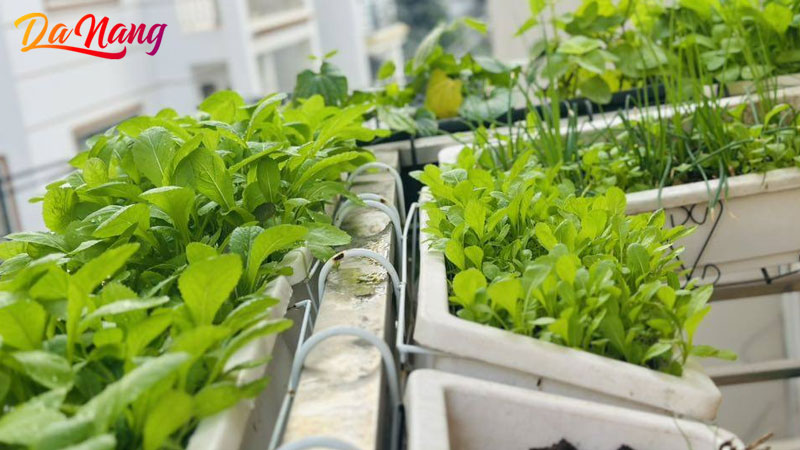 Vat-lieu-lam-vuon-thanhphodanang