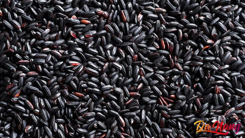 Vuon-nhien-thanhphodanang