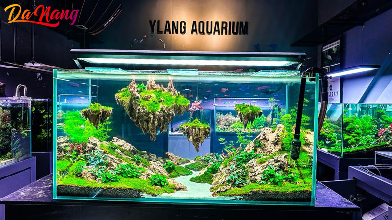 Ylang-aquarium-1-thanhphodanang