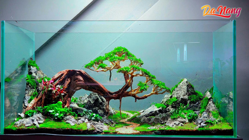 Ylang-aquarium-thanhphodanang