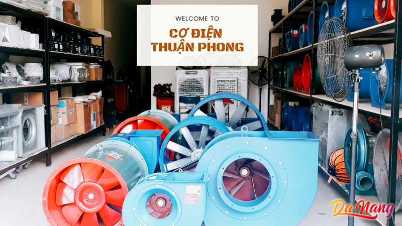 Co-dien-thuan-phong-thanhphodanang
