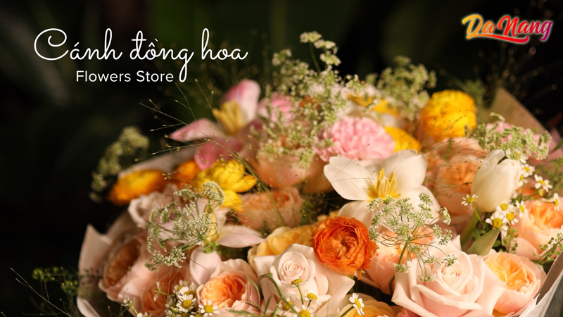 Canh-dong-hoa-thanhphodanang