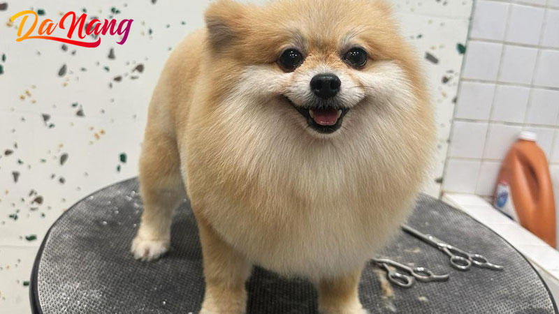 Kha-pet-thanhphodanang