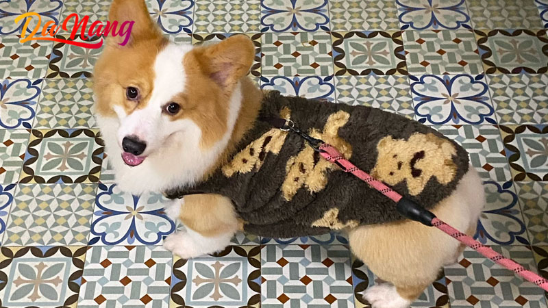 Pet-store-thanhphodanang