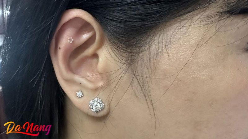 Bam-lo-tai-hoa-sen-thanhphodanang