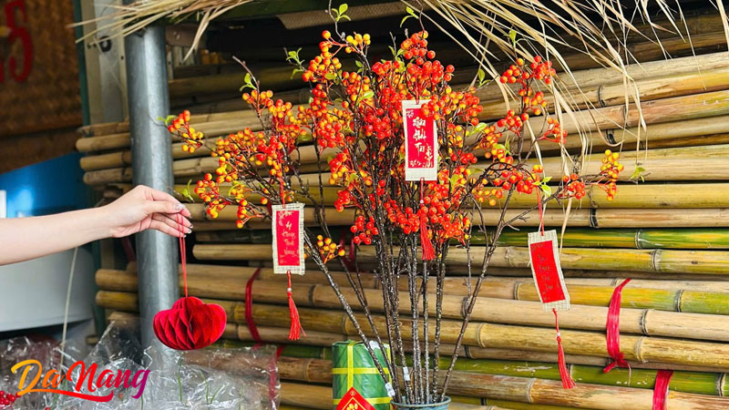 Nhat-nguyen-bamboo-thanhphodanang