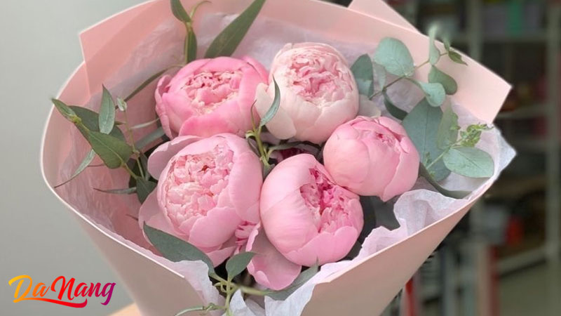 Saly-flower-thanhphodanang