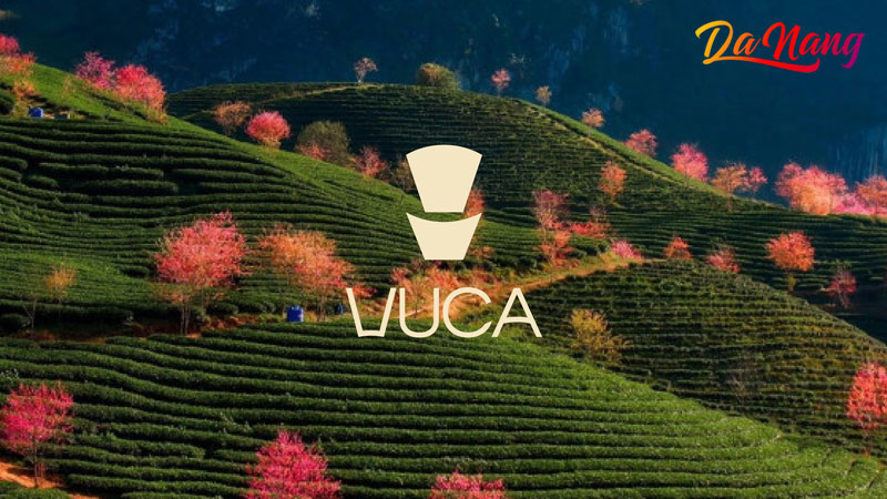 Gac-sao-branding-thanhphodanang