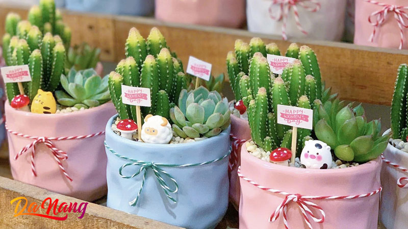 Ghi-garden-thanhphodanang