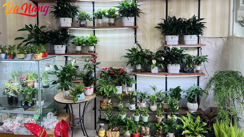 Moc-garden-1-thanhphodanang