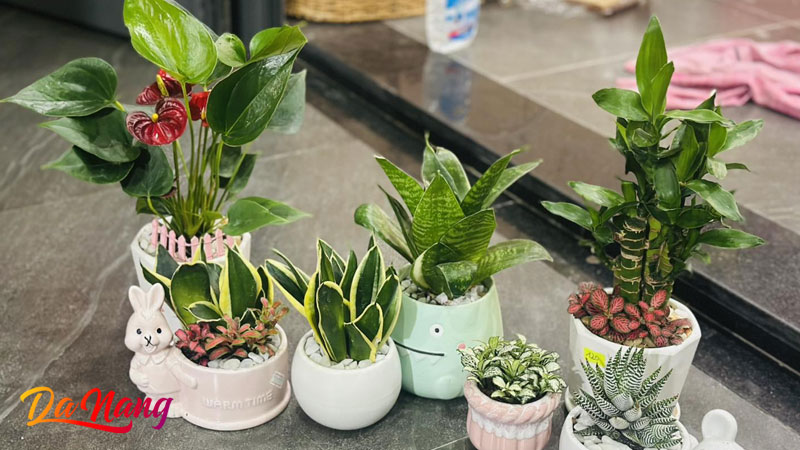 Win-garden-thanhphodanang