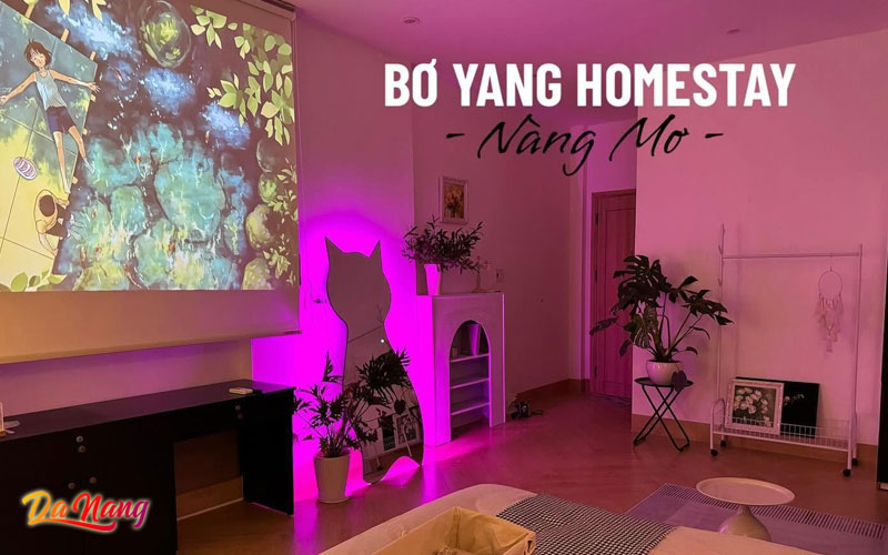 Bo-yang-homestay-thanhphodanang