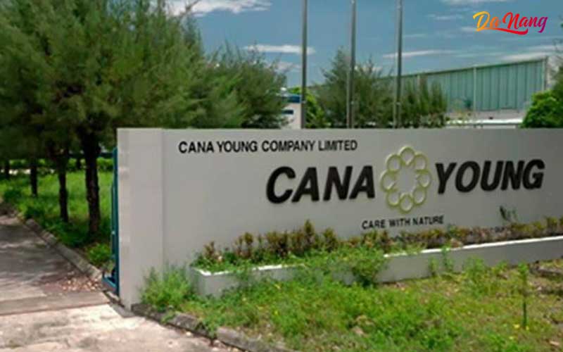 Cong-ty-tnhh-cana-young-thanhphodanang