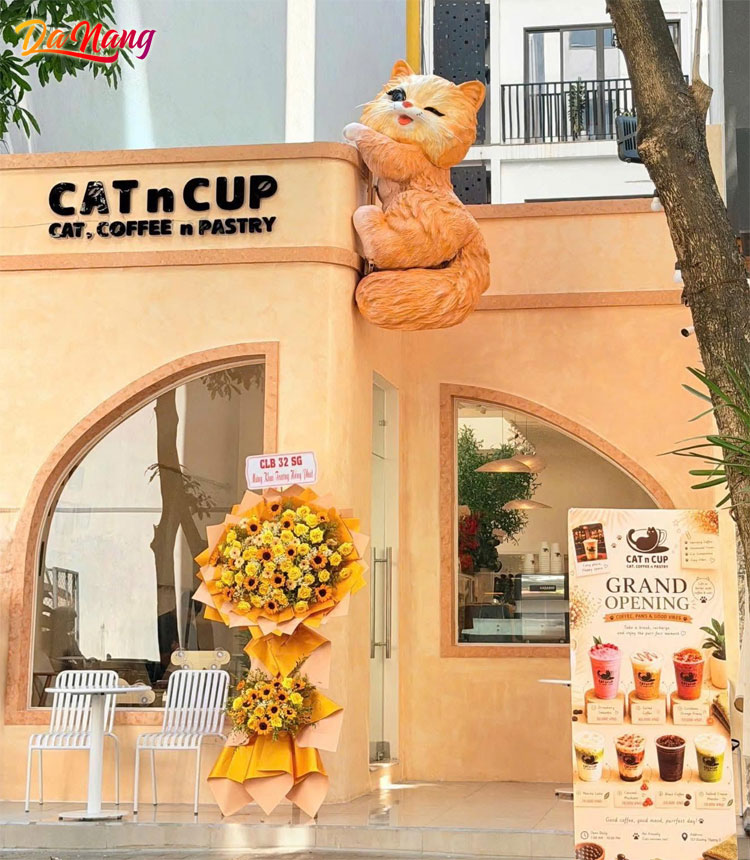 Cat-n-cup-thanhphodanang